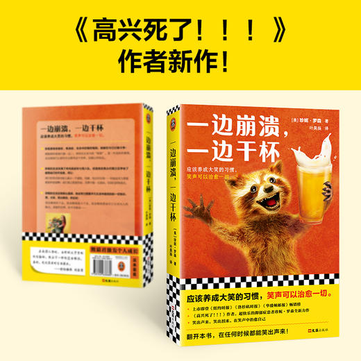 读客一边崩溃，一边干杯（珍妮·罗森 快乐读物 抑郁焦虑畅销书） 商品图2