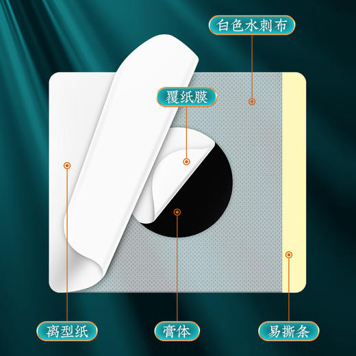 【南京同仁堂】三伏贴冬病夏治 入伏必贴 6贴/袋 × 5袋/盒（30贴/盒） 商品图2