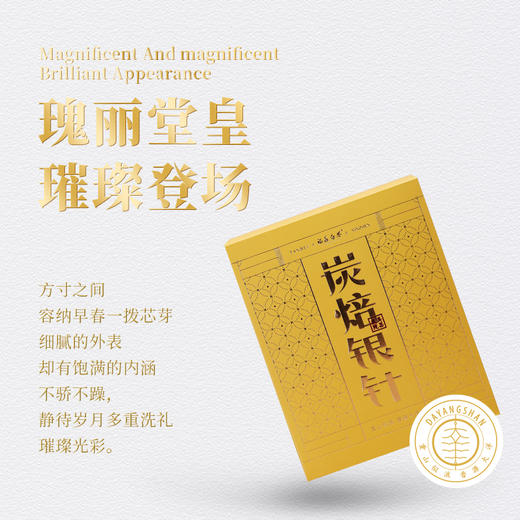 福鼎白茶 | 2023年一叶九鼎  大洋山  高山炭焙银针 300g/盒 商品图1