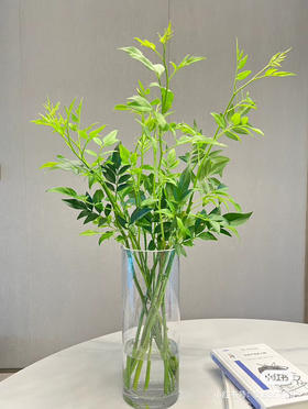 国产花材-【九星叶】