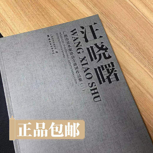 汪晓曙 广州市美术家协会主席团作品集（二）【现货包邮】 商品图0
