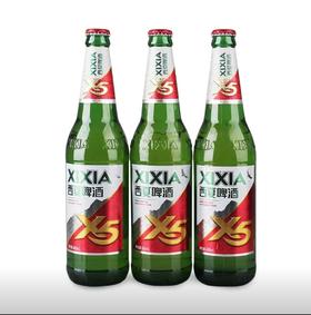 西夏X5
