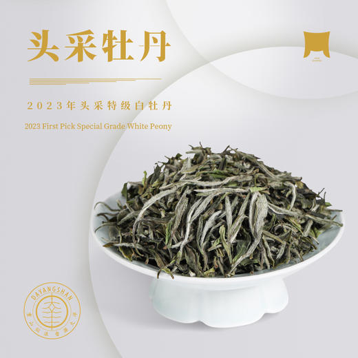 福鼎白茶 | 【2023年新茶】一叶九鼎 高山 头采牡丹 500g 商品图2