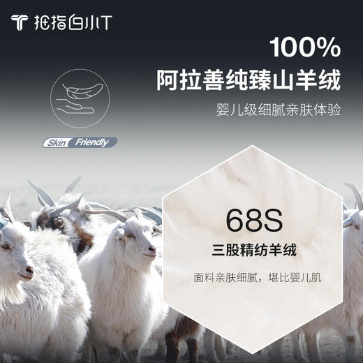 拇指白小T阿拉善羊绒POLO衫 商品图1