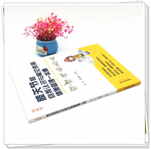 正版 现货【出版社直销】膝关节的自我认识与常见疾病健康管理一本通 图解版 刘军 潘建科 主编 中国中医药出版社 书籍 商品图3