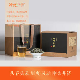 福鼎白茶 | 【2023年新茶】一叶九鼎 高山 头采牡丹 500g