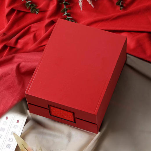 时光煮雨【通版•单罐•红】23元一套 /一件20套/约装二两半 商品图3