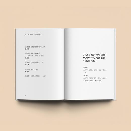 《大局：知名学者共论中国新发展》 商品图4