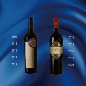 【2023.7.22/23 门票 Ticket】智利双雄，赛妮娅 & 查威克垂直品鉴会 Viña Seña & Viñedo Chadwick Vertical Tasting