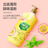 洁劲100薄荷百香洗洁精1.1kg 商品缩略图3