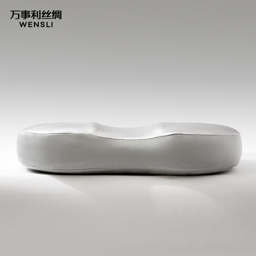 保养护肤多功能安睡枕 商品图3