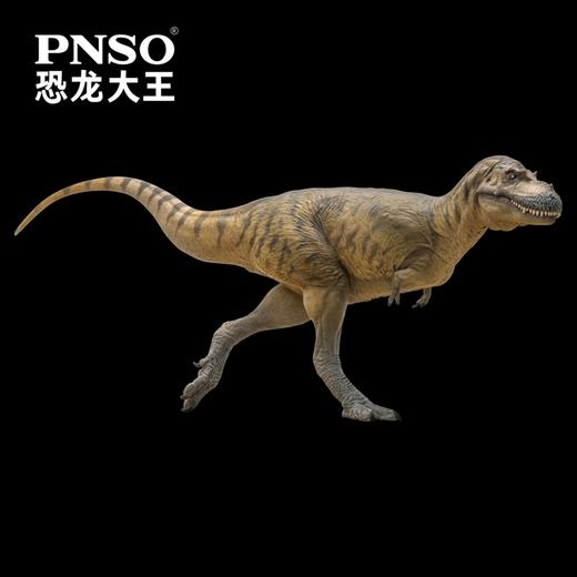 PNSO阿尔伯塔龙沃利恐龙大王成长陪伴模型72 商品图3