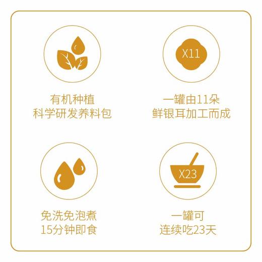 丸妃燕银耳正宗免洗冲泡即食有机银耳羹方便代餐出胶70g/罐 商品图1