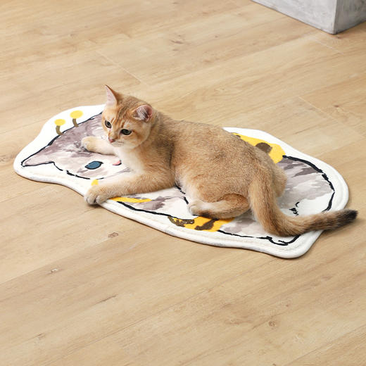 卡通猫咪仿羊绒宠物垫睡垫 坐垫 柔软舒适40*60cm 商品图6
