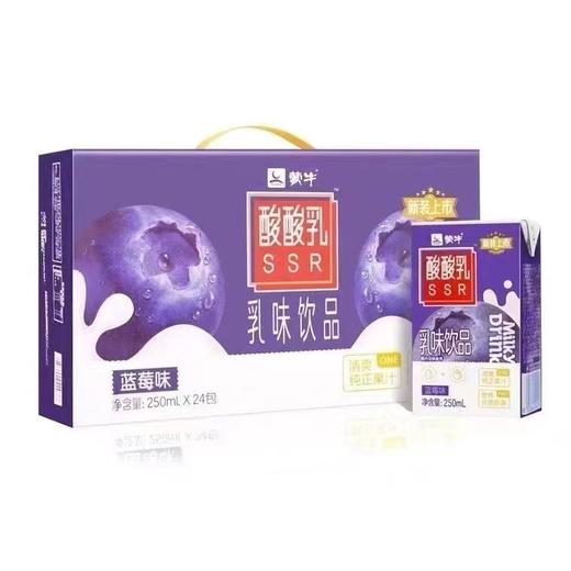 酸酸乳营养乳味饮品蓝莓利乐包250ml×24包 6月零包 商品图0