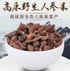 【天佑牧人手工坊】青藏特产-蕨麻人参果400g 商品缩略图0
