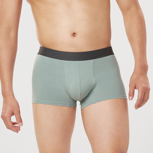 都市丽人都市锋尚简约基础40S棉拉架棉质平角男士内裤FK3CD2 商品图1