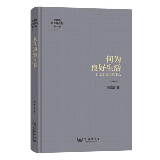 何为良好生活：行之于途而应于心（陈嘉映著译作品集第6卷） 陈嘉映 著 商务印书馆 商品图0