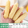 [最农公社]主推|云南拇指小玉米2斤3斤5斤每斤约6-10根小巧玲珑香糯可口 商品缩略图6