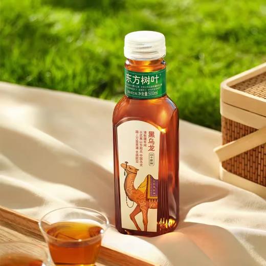 农夫山泉东方树叶黑乌龙饮料500ml/瓶 商品图2
