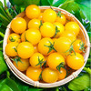 千禧番茄【约500g】 商品缩略图1