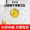 买一送一 果蝇克星室内除小飞虫水果店厨房卫生间驱蚊虫防苍蝇无毒杀诱粘剂 商品缩略图0
