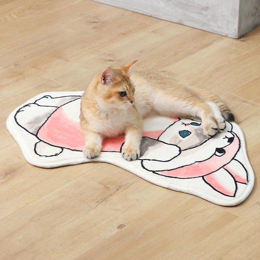 卡通猫咪仿羊绒宠物垫睡垫 坐垫 柔软舒适40*60cm 商品图5