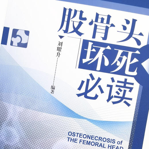 股骨头坏死必读 刘耀升 著 中国中医药出版社 中医临床 诊断 基础知识 图文并茂 书籍 商品图3