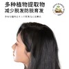 【防脱育发洗发液】 商品缩略图2