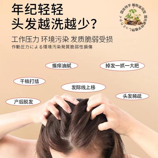 【防脱育发洗发液】 商品图1