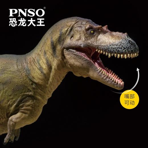 PNSO阿尔伯塔龙沃利恐龙大王成长陪伴模型72 商品图2