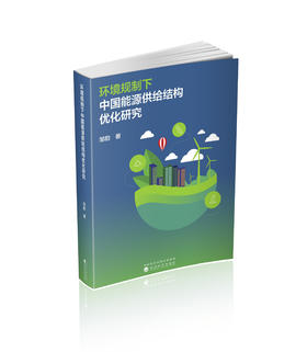 环境规制下中国能源供给结构优化研究