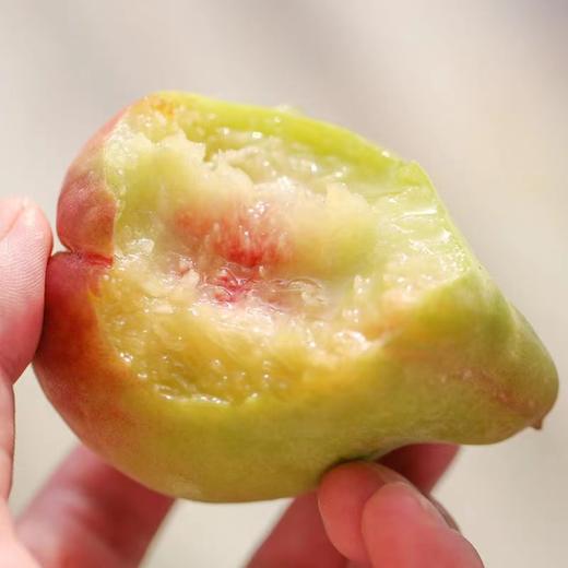 #特色新品#【云南 • 蒙自鹰嘴桃】新鲜采摘 果型形似鹰嘴而得名鹰嘴桃 呆萌可爱 甘甜多汁 软硬皆可吃 可脆可糯 桃味十足 商品图1