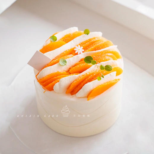 【芒芒山丘】与你一起度过整个芒芒夏日，进口动物奶油蛋糕 商品图0