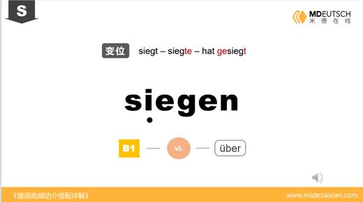 siegen 商品图0
