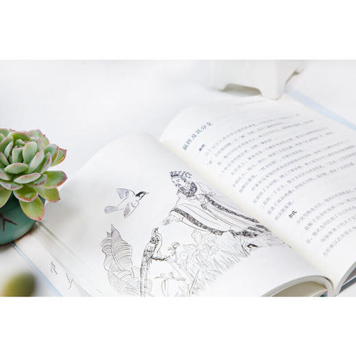 我们的祖先：中华姓氏的故事——中华姓氏来源名人小故事经典国学书目 商品图4