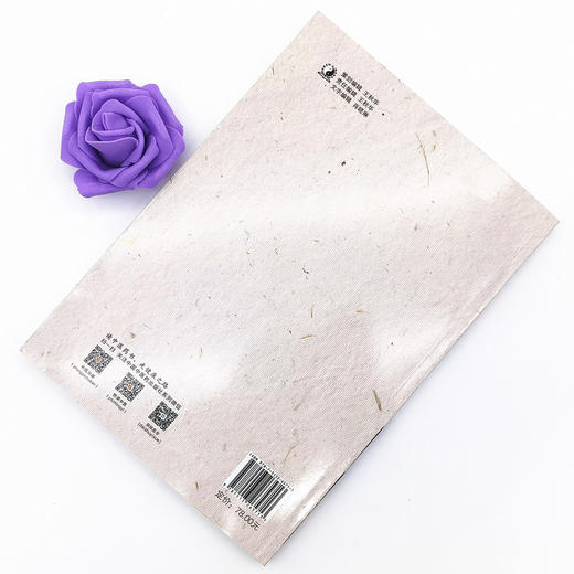 王新志学术思想与经验辑要【王新志 主编】 商品图3