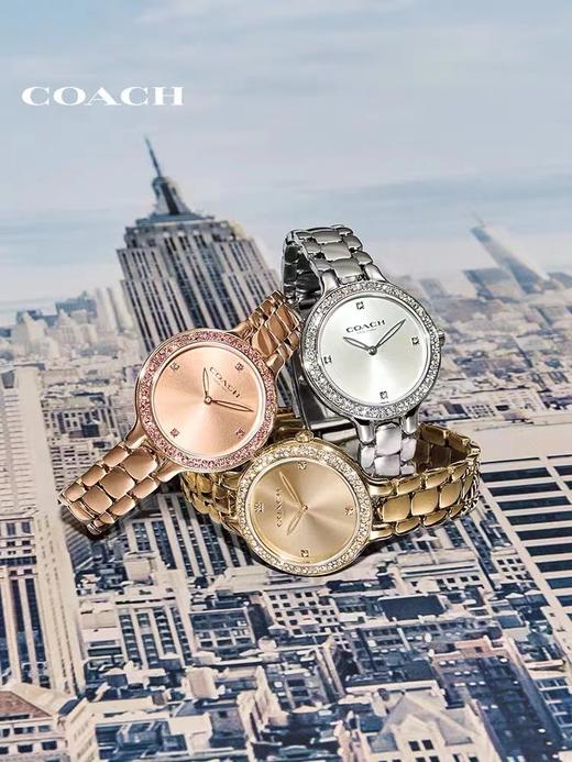 COACH/蔻驰 CARY系列迷人气质休闲时尚米兰编制钢带手表 CARY系列无数字表盘花朵时标浪漫摩登腕表 商品图9