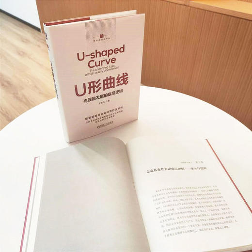 官网 U形曲线 高质量发展的底层逻辑 王海山 管理实践在中国 企业经营管理学书籍 商品图1