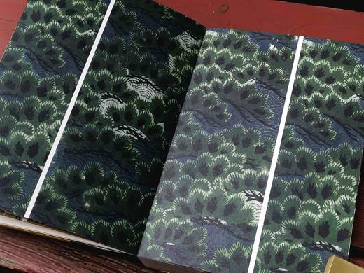 《新美术海：日本明治时代纹样艺术》，精装，32开，[日]古谷红麟著，湖南美术出版社2023年7月一版一印，定价148，售价74元。

本书收录的纹样图案多以花鸟风月、四季景色为主题，是自然之美和设计之 商品图5