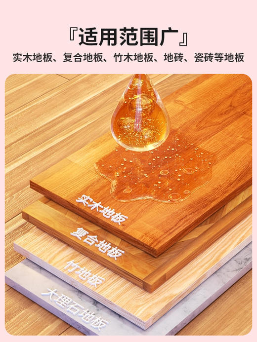 丽初净地板清洁剂 商品图4