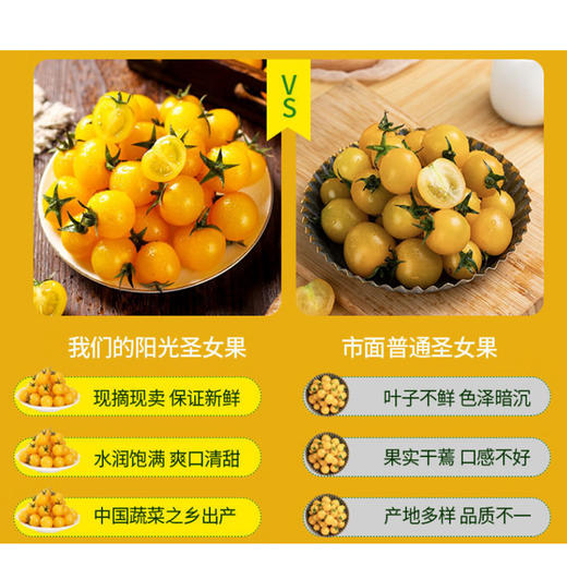 千禧番茄【约500g】 商品图2