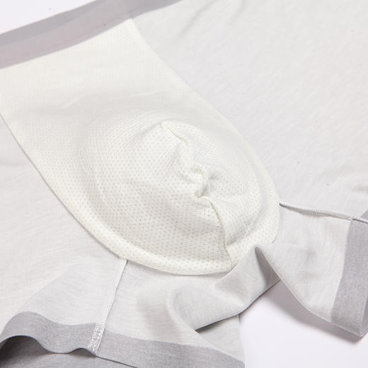 都市丽人都市锋尚铂金舒适100S莫锦双面布莫代尔平角男士内裤FK34B1 商品图7