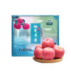 山东栖霞红富士苹果 中国中化出品 5斤礼盒装 全程可追溯 商品缩略图4