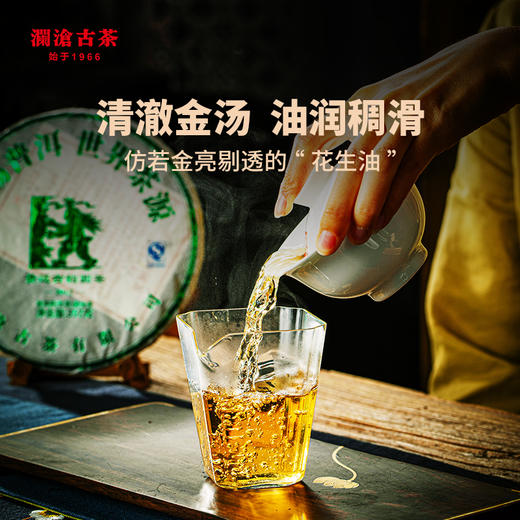 澜沧古茶2017年景迈古韵圆茶普洱茶生熟组合357g*2（老茶客推荐） 商品图7