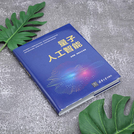 量子人工智能 商品图3