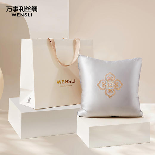 保养护肤多功能方靠垫 商品图0