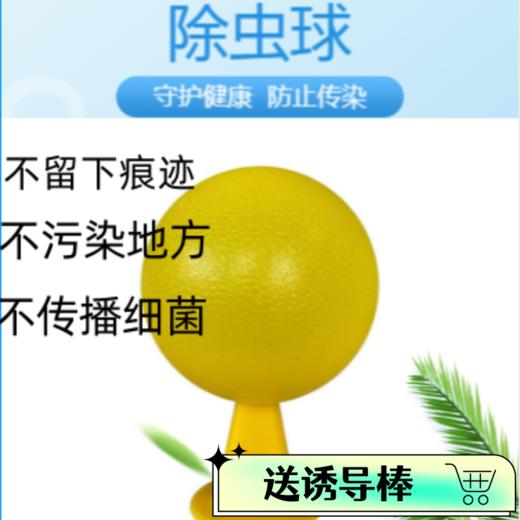 买一送一 果蝇克星室内除小飞虫水果店厨房卫生间驱蚊虫防苍蝇无毒杀诱粘剂 商品图6