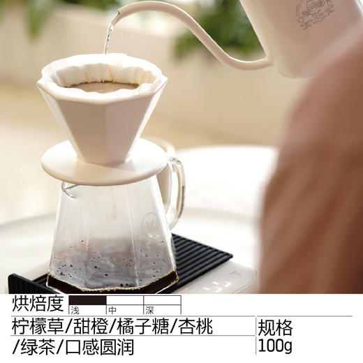 巴拿马 哈特曼 水洗瑰夏  单品手冲咖啡豆  商品图2