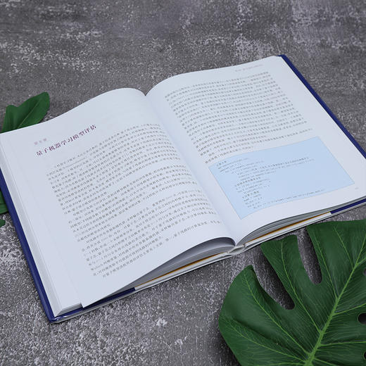 量子人工智能 商品图2